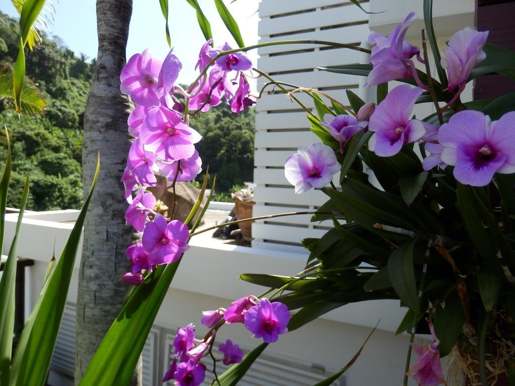 Kata Beach Studio Phuket Ngoại thất bức ảnh